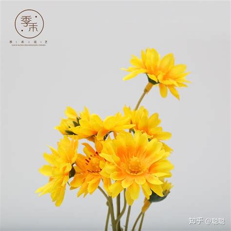 仿真花|仿真花的这些事你知道吗？